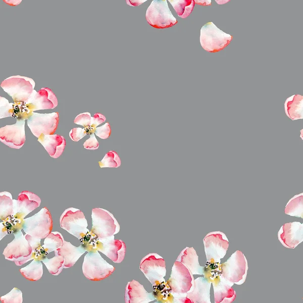 Вишукані красиві милі ніжні трав'яні квіткові весняні квіти яблука з зеленим листям візерунок на бежевому фоні акварельна ручна ілюстрація — стокове фото