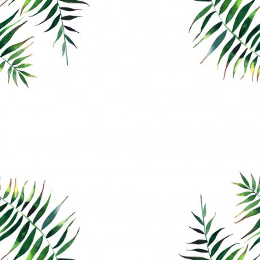 Güzel yeşil tropikal tatlı güzel harika hawaii çiçek bitkisel yaz çerçeve bir avuç içi suluboya el kroki