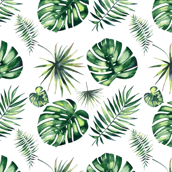 Splendido bellissimo verde a base di erbe tropicale meraviglioso hawaii floreale estate modello di palme tropicali acquerello mano illustrazione — Foto Stock