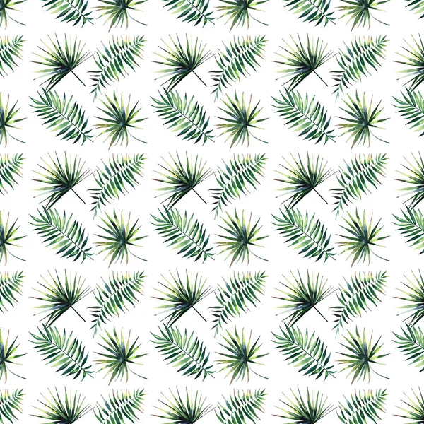 Hermoso verde tropical lindo hermoso maravilloso hawaii floral patrón de verano herbario de una ilustración de la mano de acuarela palmeras —  Fotos de Stock