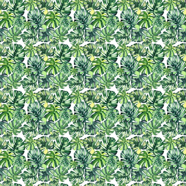 Hermoso verde brillante tropical maravilloso hawaii floral patrón de verano a base de hierbas de una palma monstera acuarela mano ilustración —  Fotos de Stock