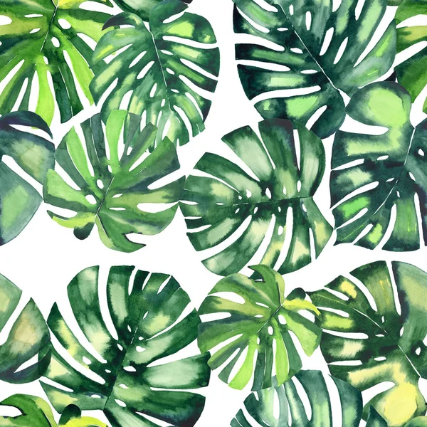 Beautiful bright green tropical wonderful hawaii floral herbal summer pattern of a monstera palms watercolor hand illustration — Stock Photo, Image