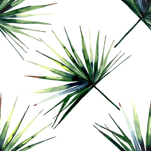 Piękny jasny zielony tropikalne Znakomity Hawaje kwiatowy lato ziołowe skośna ilustracji dłoń akwarela palms — Zdjęcie stockowe