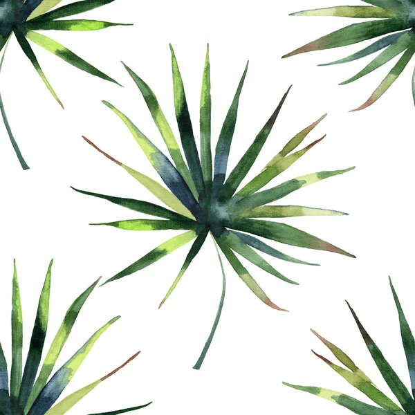 Schöne leuchtend grüne tropische wunderbare hawaii Blumen Kräuter Sommer Muster einer Palme Aquarell Hand Illustration — Stockfoto