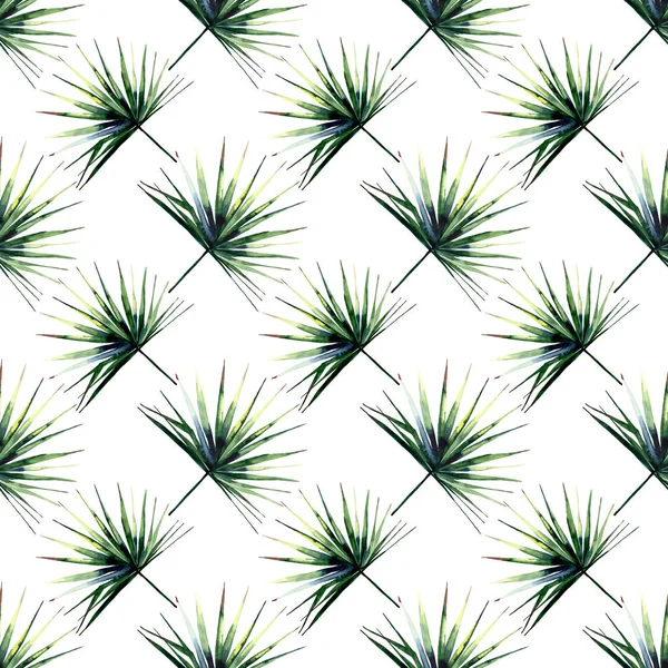 Schöne helle grüne tropische wunderbare Hawaii Blumen Kräuter Sommer diagonales Muster einer Palme Aquarell Hand Illustration — Stockfoto