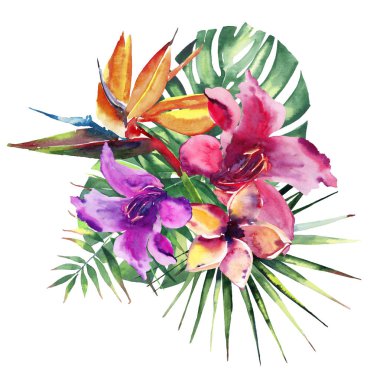 Güzel parlak güzel harika tropik hawaii çiçek bitkisel yaz renkli bileşimi tropikal kırmızı pembe mor çiçekler ve yeşil avuç içi suluboya el kroki bırakır