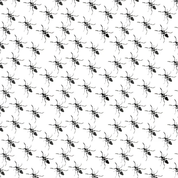 Mooie heldere grafische abstracte schattige mooie diagonaal patroon van zwarte mieren aquarel hand illustratie — Stockfoto