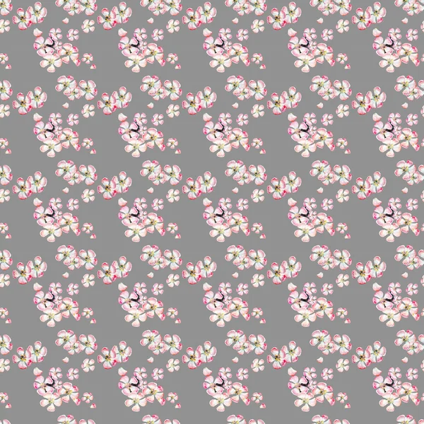 Sofistikerade vacker Söt härlig anbud växtbaserade blommig vårblommor av apple med gröna blad mönster på beige bakgrund akvarell hand illustration — Stockfoto