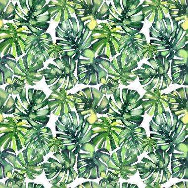 Güzel parlak yeşil tropikal harika hawaii çiçek bitkisel yaz desen bir monstera suluboya el illüstrasyon palms