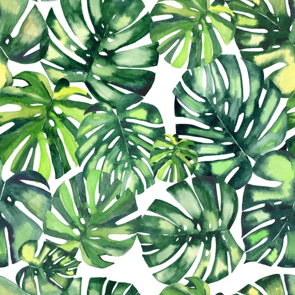 Mooie heldere groene tropische prachtige hawaii floral kruiden zomer patroon van een monstera palmen aquarel hand illustratie — Stockfoto