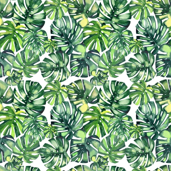 Bella verde brillante tropicale meraviglioso hawaii floreale a base di erbe modello estivo di un palme monstera acquerello mano illustrazione — Foto Stock