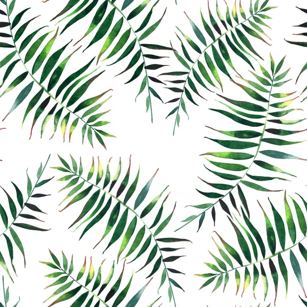 Beautiful green tropical cute lovely wonderful hawaii floral herbal summer pattern of a palms watercolor hand illustration — Stock Photo, Image