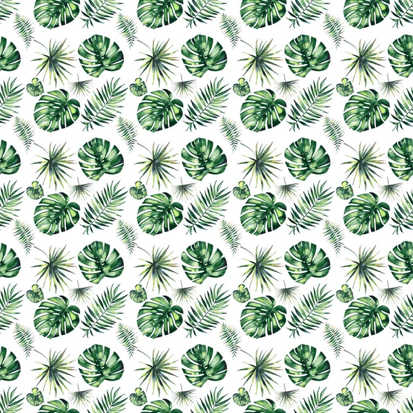 Jasny piękny zielony ziołowy tropikalny Znakomity Hawaje kwiatowy lato wzór Zwrotnika palms dłoń akwarela, ilustracja — Zdjęcie stockowe