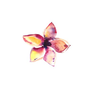 Parlak güzel ihale sofistike güzel tropikal hawaii çiçek yaz hafif pembe ve sarı çiçekler suluboya el çizimi