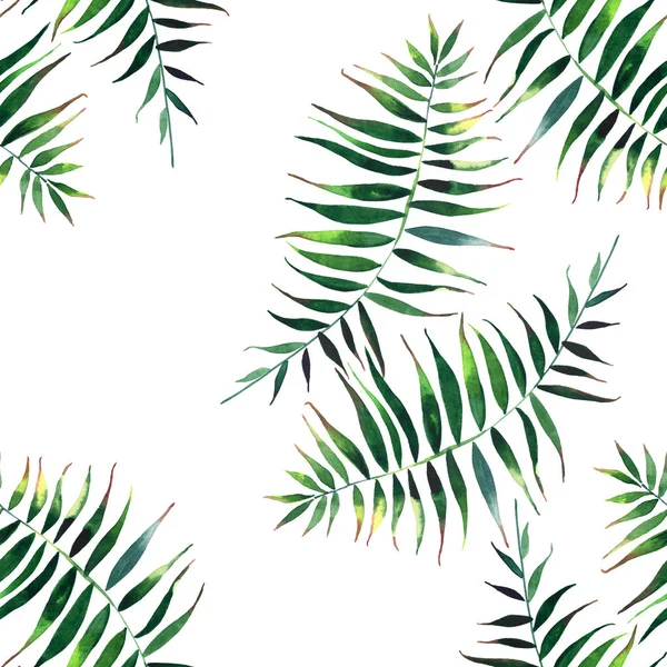 Beautiful green tropical cute lovely wonderful hawaii floral herbal summer pattern of a palms watercolor — Stock Photo, Image