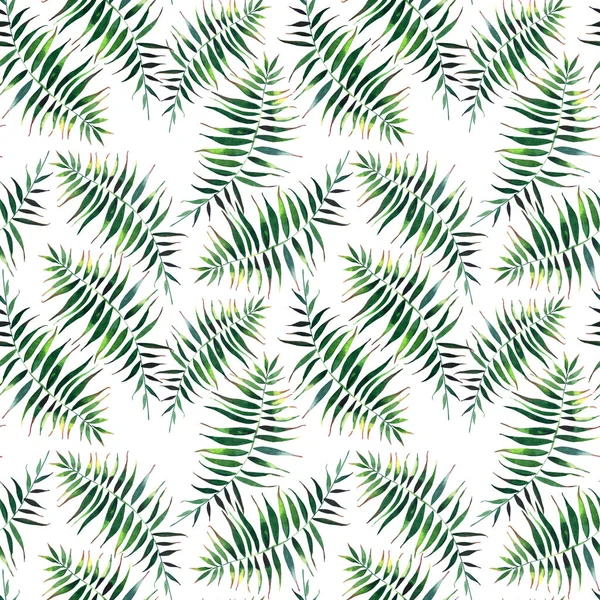 아름 다운 녹색 열 대 귀여운 사랑 스러운 멋진 하와이 꽃 허브 여름 패턴 손바닥 수채화의 — 스톡 사진