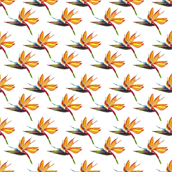 아름 다운 밝은 사랑 스러운 화려한 열 대 하와이 꽃 허브 여름 열 대 노란 꽃 패턴 수채화 손 그림 — 스톡 사진