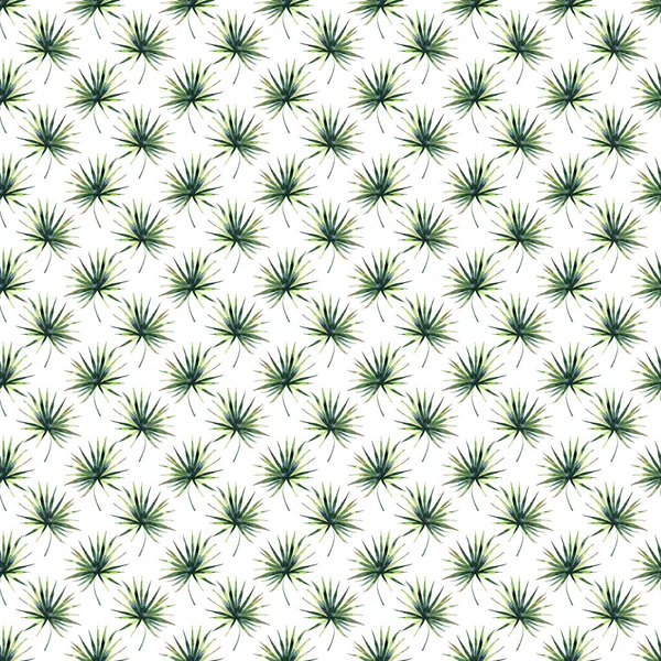 Зеленый и милый милый прекрасный цветочный летний узор из трав гавайи акварельной иллюстрацией ладоней — стоковое фото