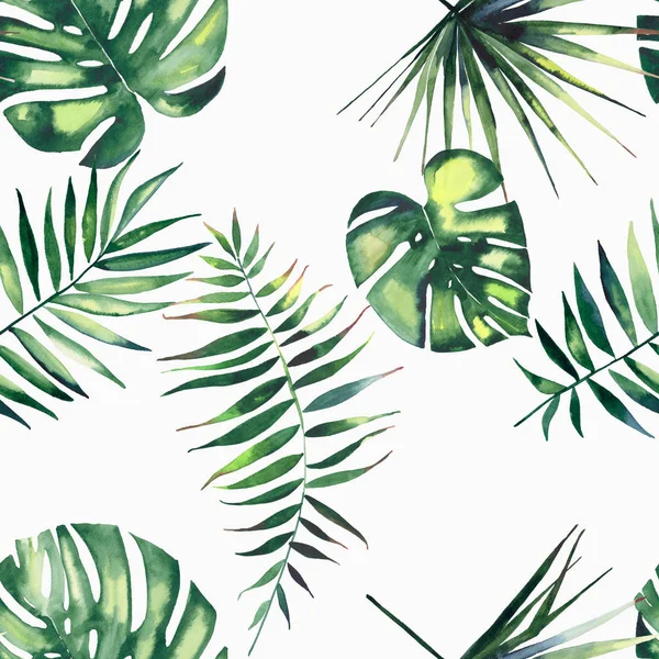 Bright beautiful green herbal tropical wonderful hawaii floral summer pattern of a tropic palms watercolor hand illustration — Stock Photo, Image