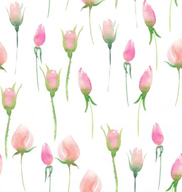 Güzel hassas ihale şirin zarif güzel çiçek renkli bahar yaz pembe Gül tomurcukları ve buket suluboya el illüstrasyon bırakır