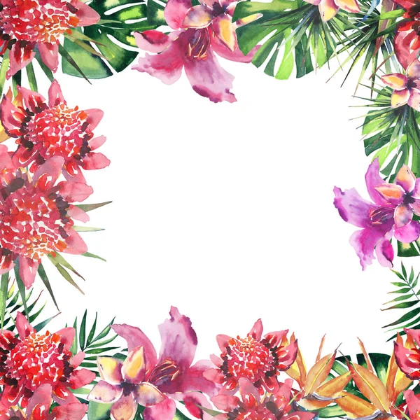 Mooie heldere mooie prachtige groene tropische hawaii floral kruiden zomer kleurrijke frame van tropische bloemen en palmen verlaat aquarel hand schets — Stockfoto