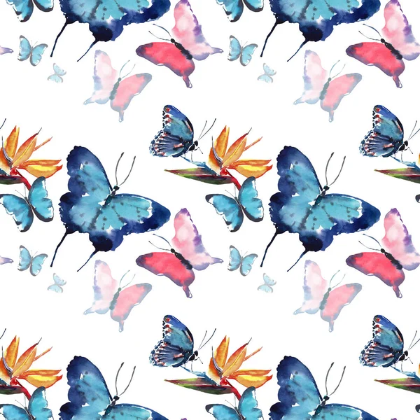 Bright beautiful sophisticated wonderful tender gentle spring tropical colorful butterflies with tropical yellow flowers pattern watercolor hand sketch — Stock Photo, Image