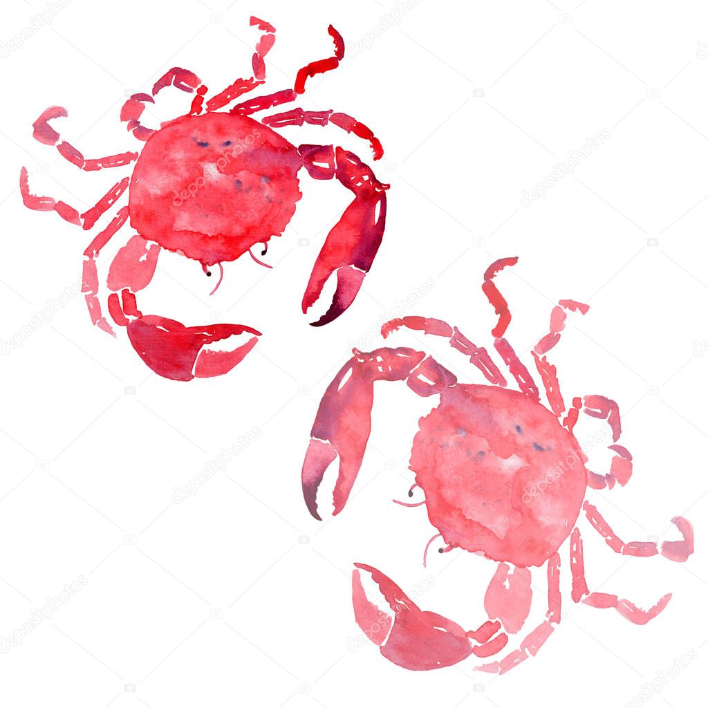 Colorful bright beautiful lovely summer sea tasty delicious pattern of two red crabs watercolor hand illustration. Perfect for restaurant menu, greetings card and textile