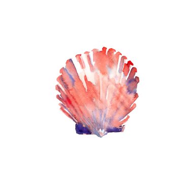 Parlak sevimli grafik güzel güzel harika yaz taze deniz plaj renkli seashell suluboya el çizimi. Tebrik kartı, tekstil tasarımı için mükemmel