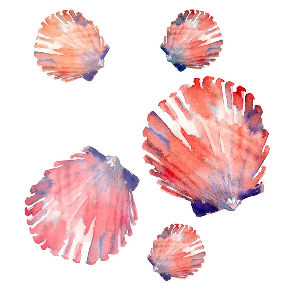 Heldere schattig grafisch mooie mooie prachtige Zomerse frisse mariene strand kleurrijke schelpen patroon aquarel hand illustratie. Perfect voor wenskaart, textielontwerp — Stockfoto