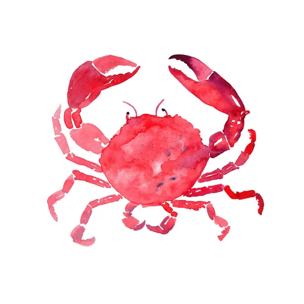 Mooie heldere kleurrijke mooie zomer zee lekker heerlijk patroon van rode krab aquarel hand illustratie. Ideaal voor restaurant menu, wenskaart en textiel — Stockfoto
