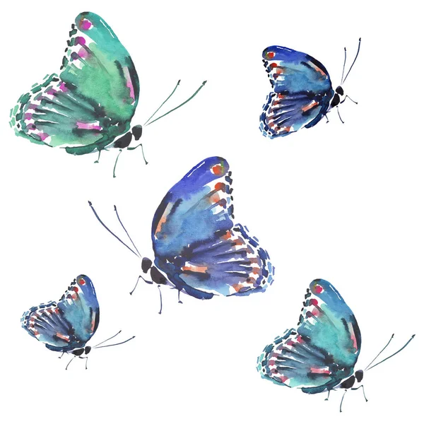 美丽可爱复杂华丽精彩投标温柔的春天多彩蝴蝶图案水彩手图 — 图库照片