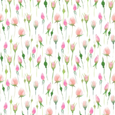 Güzel hassas ihale şirin zarif güzel çiçek renkli bahar yaz pembe ve kırmızı gül tomurcukları ve yaprakları buket suluboya el çizim ile