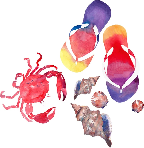 Літній пляж прекрасний прекрасний чудовий свіжий морський океан барвистий візерунок морських раковин, фліп-флоп, червоний краб акварельна ручна ілюстрація — стокове фото