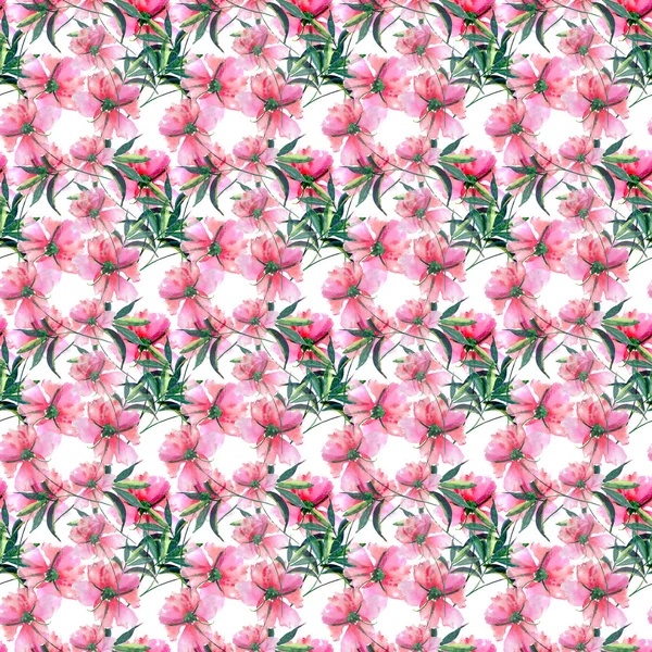 Bonito macio suave sofisticado maravilhoso bonito primavera floral botânico bege em pó peônias rosa com padrão de folhas verdes aquarela esboço da mão — Fotografia de Stock