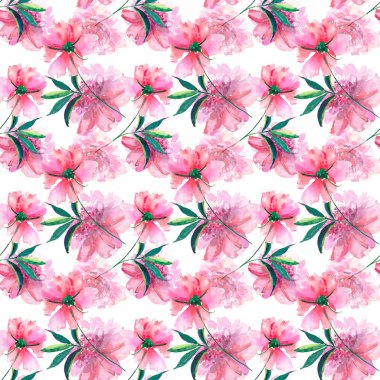 Güzel ihale nazik sofistike harika bahar çiçek bitki botanik bej toz pembe peonies yeşil yaprakları suluboya el çizim ile