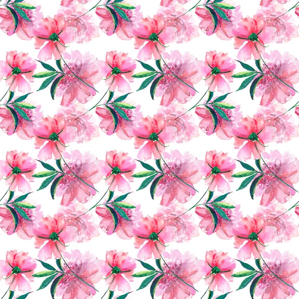Beautiful tender gentle sophisticated wonderful spring floral herbal botanical beige powdery pink peonies with green leaves watercolor hand illustration