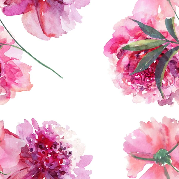 Mooie tedere zachte verfijnde prachtige mooie schattige lente bloemen kruiden botanische beige poederachtige roze pioenrozen frame aquarel hand schets — Stockfoto