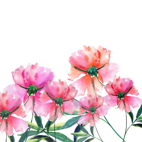 Anbud skonsam sofistikerade Fantastiskt ljuvligt söt våren blommig växtbaserade botaniska beige pudrigt rosa pioner med gröna blad mönster akvarell hand illustration — Stockfoto