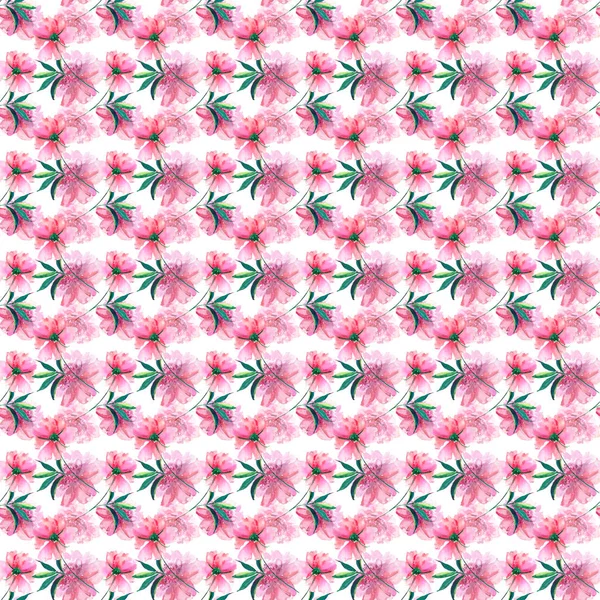 Krásný nabídka nádherné krásné roztomilé jarní květinové bylinné Pivoňky s akvarelem vzor zelené listy ruční skici. Ideální pro pozdrav a narozeniny karty, svatba, pozvánky, textilní design — Stock fotografie