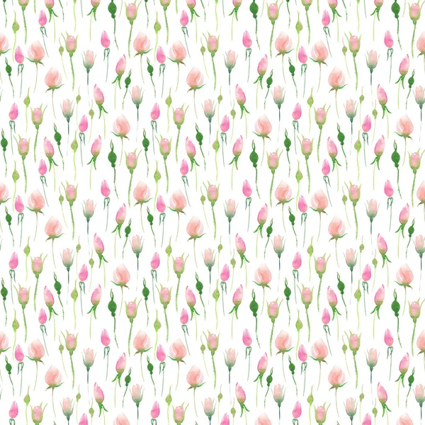 Delicado tierno lindo elegante encantador floral colorido primavera verano rosa y rosas beige con brotes y hojas acuarela boceto de mano — Foto de Stock