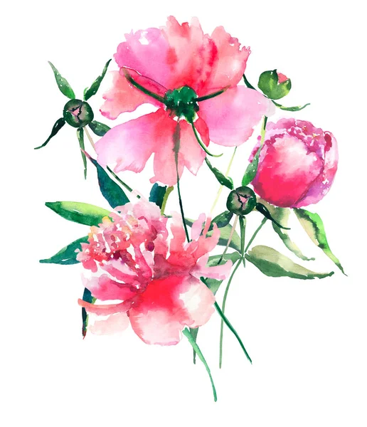 Beautiful delicate tender cute elegant lovely floral colorful spring summer pink and red peonies with green leaves and buds bouquet watercolor hand illustration — Stock Photo, Image