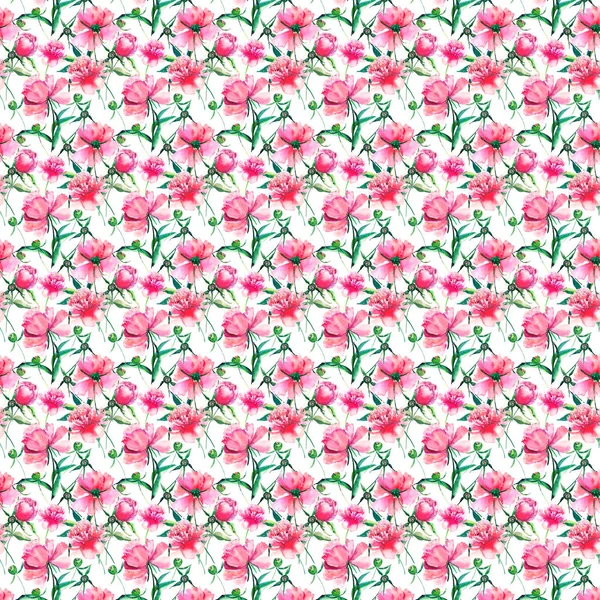 Bonito macio doce maravilhoso bonito primavera floral ervas vermelho peônias com folhas verdes e brotos padrão aquarela mão ilustração — Fotografia de Stock