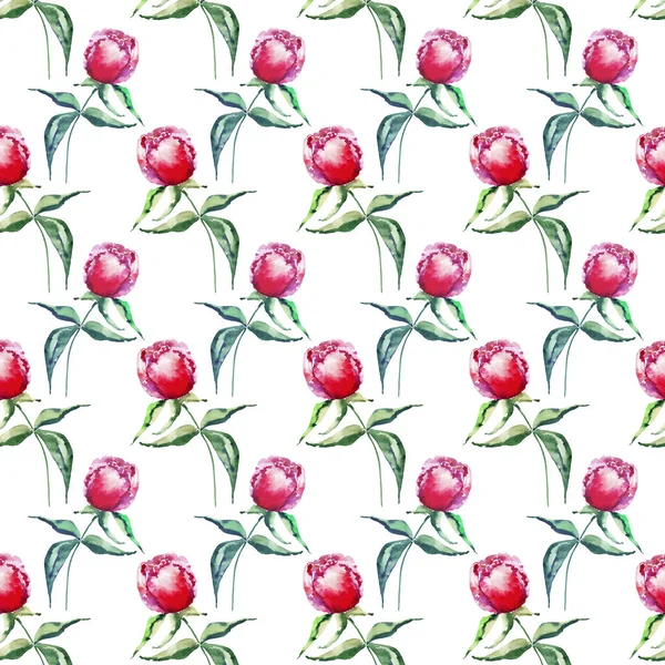 Luminoso tenero carino primavera floreale a base di erbe peonie con foglie verdi modello acquerello mano illustrazione. Perfetto per matrimoni, biglietti di auguri e compleanni, matrimoni, inviti, design tessile — Foto Stock