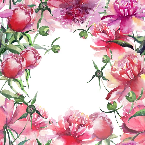 Mooie gevoelige tedere schattig mooie bloemen kleurrijke lente zomer roze, rode, oranje pioenrozen met groene bladeren en knoppen frame aquarel hand schets — Stockfoto