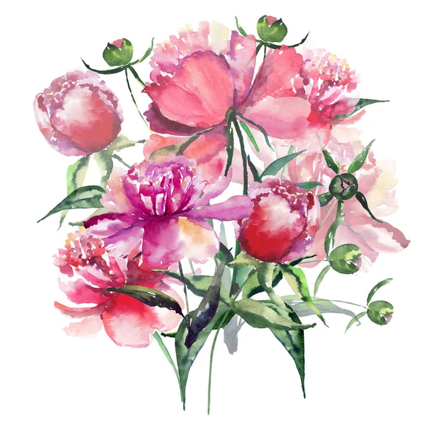 Vackra fina anbud söt eleganta härlig blommig färgglada våren sommaren rosa och röda pioner med gröna blad och knoppar bukett akvarell hand illustration — Stockfoto