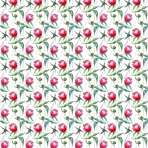 Яркие нежные весенние цветочные травянистые пионы с рисунком зеленых листьев акварельной иллюстрацией. Перфект для свадьбы, поздравления и открытки на день рождения, свадьбы, приглашения, текстильного дизайна — стоковое фото