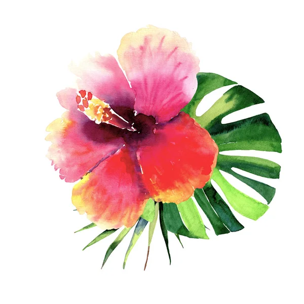 Schöne helle schöne wunderbare tropische Hawaii Blumen Kräuter Sommer bunte Komposition von tropischen roten Blume und grünen Palmen Blätter Aquarell Handskizze — Stockfoto