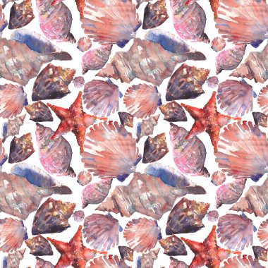 Parlak sevimli grafik güzel güzel harika yaz taze deniz plaj renkli deniz kabuklarını ve starfishes suluboya el illüstrasyon model. Tebrik kartı, tekstil tasarımı için mükemmel