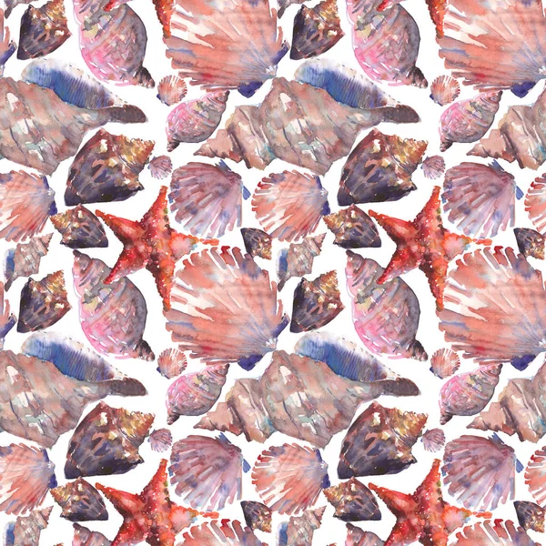 Parlak sevimli grafik güzel güzel harika yaz taze deniz plaj renkli deniz kabuklarını ve starfishes suluboya el illüstrasyon model. Tebrik kartı, tekstil tasarımı için mükemmel