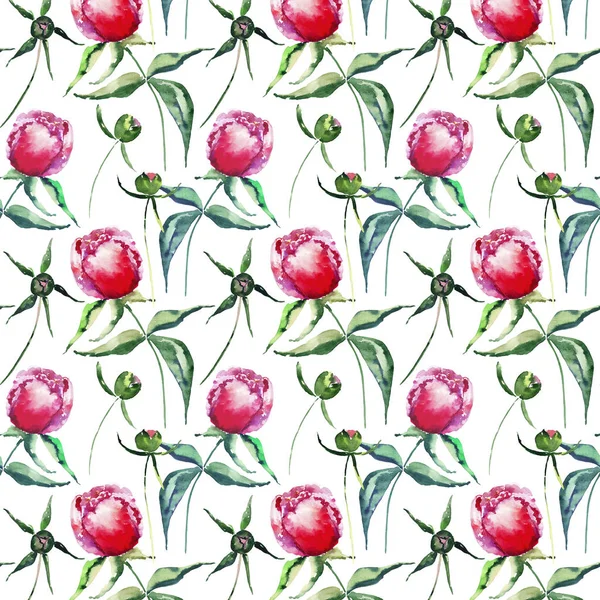 Helder inschrijving leuke lente bloemen kruiden pioenrozen met groene bladeren patroon aquarel hand illustratie. Perfect voor bruiloft, kaart van de groet en verjaardag, bruiloft, uitnodiging, textielontwerp — Stockfoto